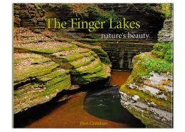 The Finger Lakes Nature's Beauty - Photography