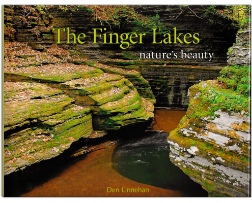 The Finger Lakes Nature's Beauty - Photography