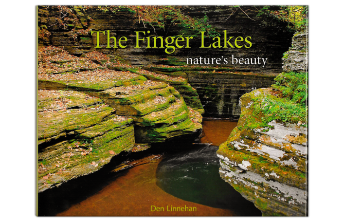 The Finger Lakes Nature's Beauty - Photography