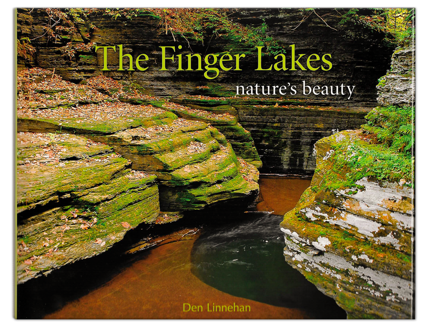 The Finger Lakes Nature's Beauty - Photography